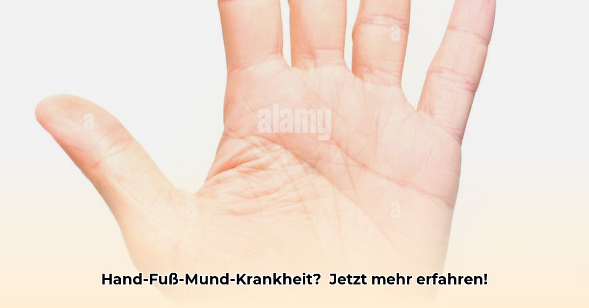 hand-fuss-mund-krankheit